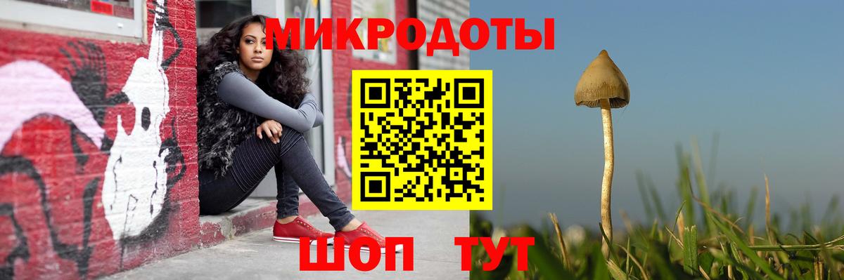 Псилоцибиновые грибы ЛСД Карабулак
