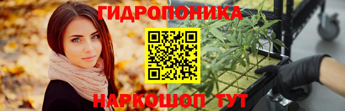 Каннабис OG Kush Карабулак